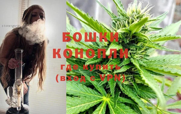 PSILOCYBIN Белоозёрский