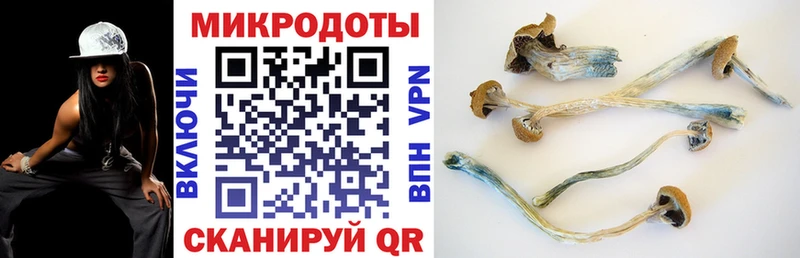 Псилоцибиновые грибы мицелий  Керчь 