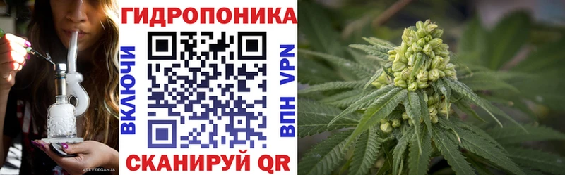 закладка Керчь Бошки марихуана White Widow